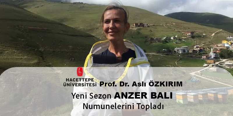 Coğrafi İşaretli Anzer Balı Nasıl Anlaşılır?
